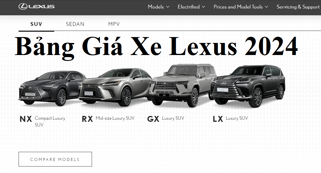 Bảng giá xe Lexus 2024 mới nhất hôm nay