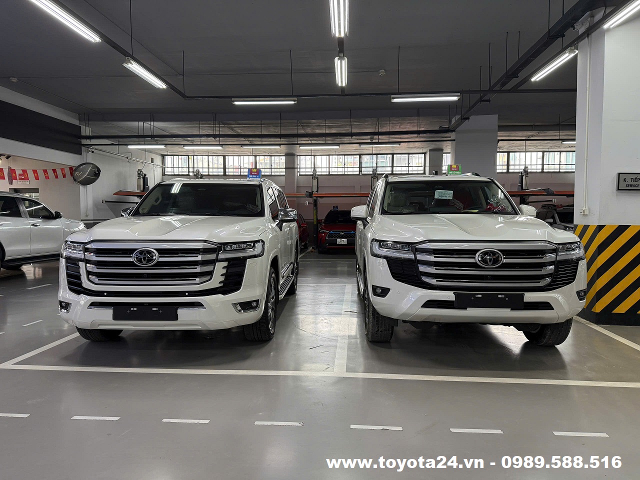 toyota-land-cruiser-LC300-2026-mau-trang-ngoc-trai